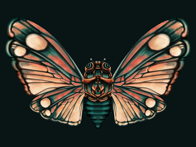 Dreamy Fantasy Butterfly moth animal art deco art noveau butterfly design dreamy fantasy flying graphic design illustration moth