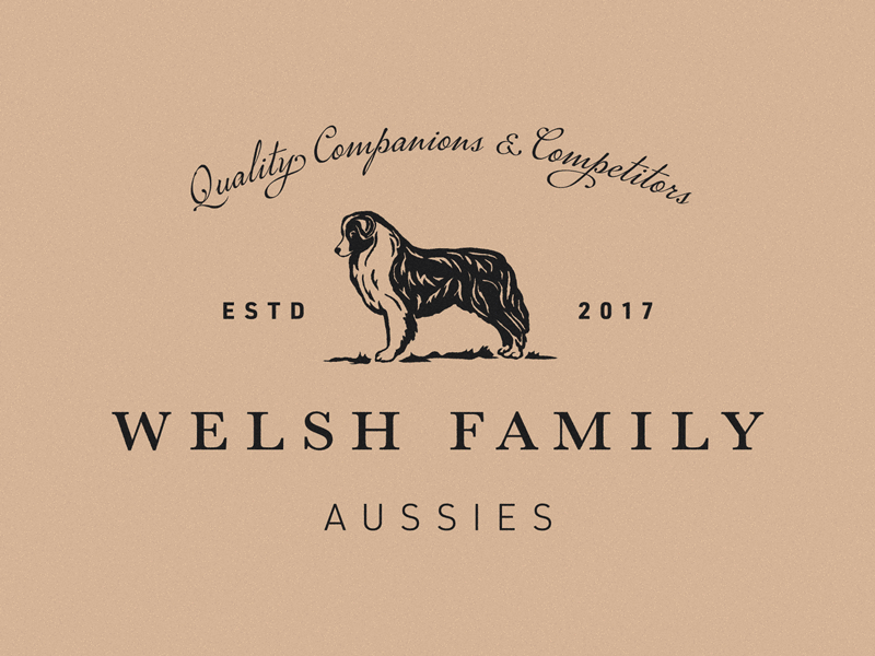 Welsh Family Aussies Logo australian australian shepherd badge black brand design gold illustration logo monogram