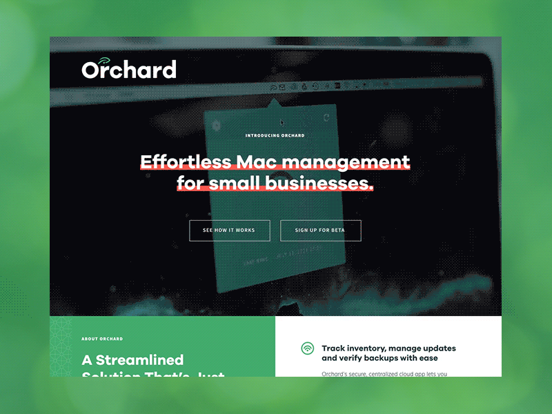 Orchard Website
