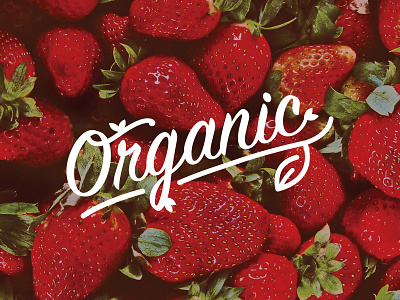 Organic Type fresh fruit organic signpainter strawberry type