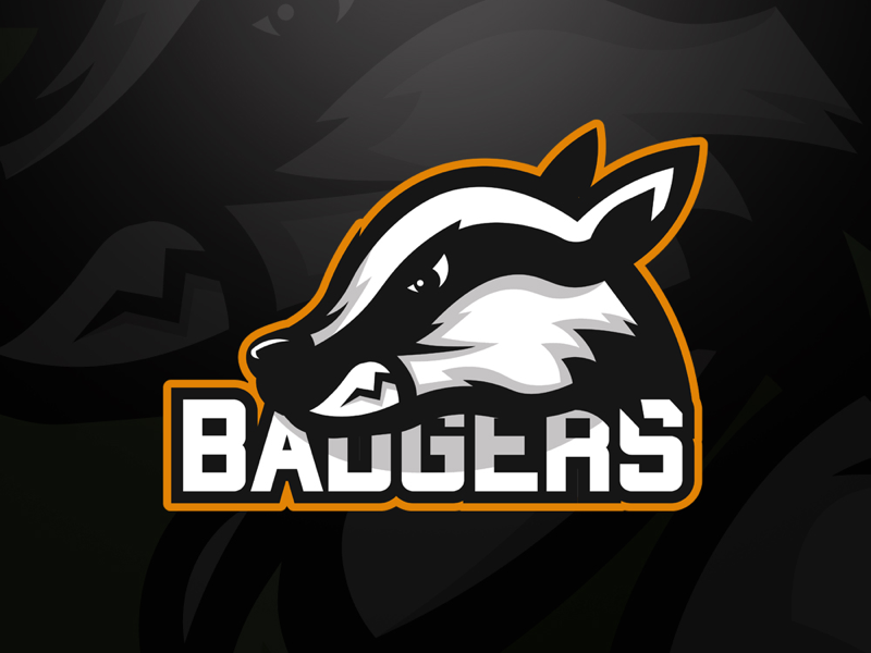 badgers logo