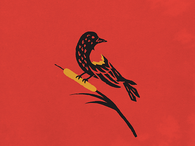 Red Winged Blackbird bird blackbird brand identity branding cattail flat hand drawn logo midwest music nature plains red winged blackbird songbird vector vintage wetlands