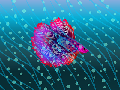 betta fish illustration branding cool design graphic design illustration illustrations minimal simple