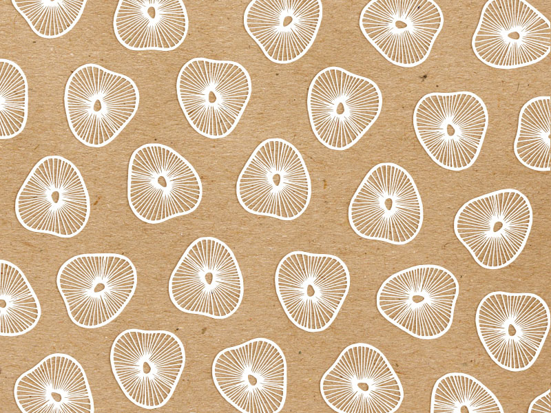 MYCO Pattern for Rainbow Bliss Botanicals hand-drawn illustration