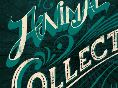 Animal Collective The Depot /// SLC animal collective gig gig poster lettering music poster texture