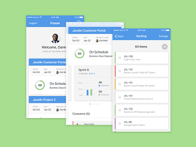 Project Status cards design expand ios iphone list prioritize projects ui ux