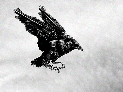 Crow magnum branding logo texture urban