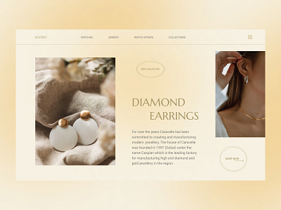 Website concept for a jewelry store design jewelry web design