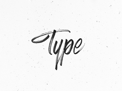 Type brushpen calligraphy hand lettering lettering logotype typography