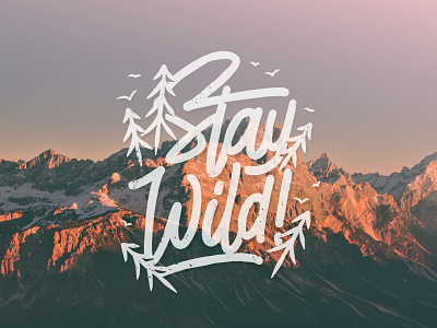 Stay Wild brushpen for sale lettering monoline tshirt design typography