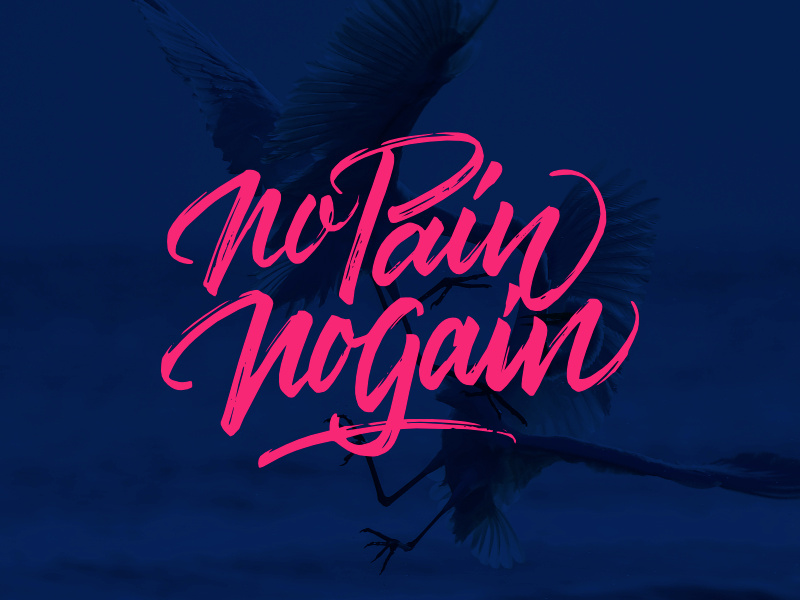 No Pain No Gain for sale tshirt design typography brushpen lettering