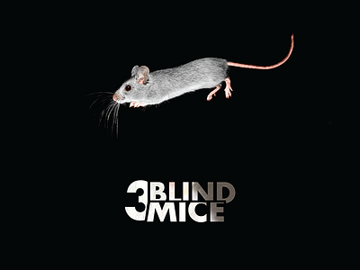 3 Blind Mice 3blindmice black creative direction graphic graphic design grey jumping mice visual direction whiskers white