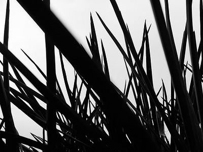 Sedona Silhouette bw photography silhouette southwest