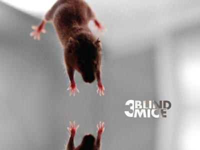 3 Blind Mice lab lab rat laboratory mice mirrored testing typography