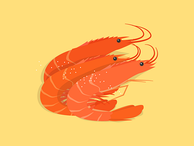 shrimp illustrations