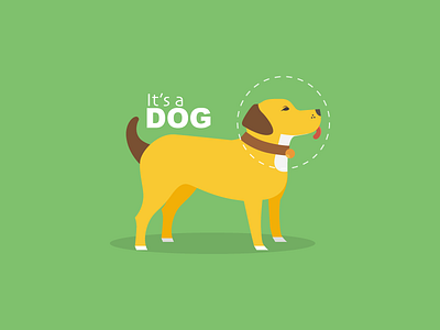 Dog illustrations