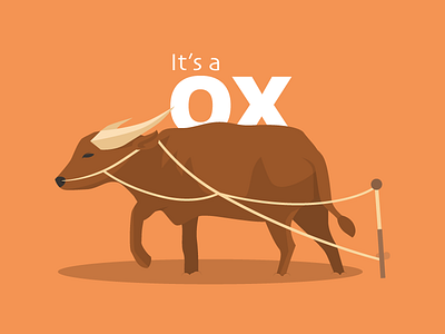 OX illustrations