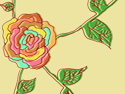 Rose Illustration illustration rose
