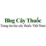 Blog Cây Thuốc - Trang tin tức cây thuốc Việt Nam