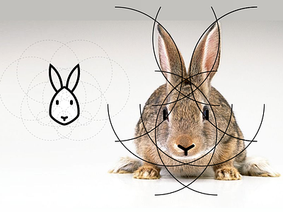 Rabbit animal bunny cute fluffy geometric grid head rabbit stroke