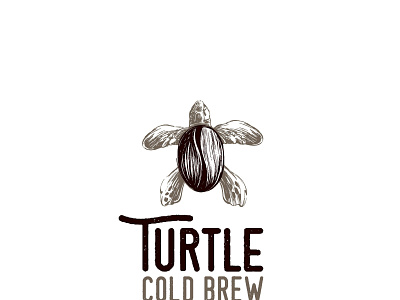 TURTLE branding design graphic design illustration logo motion graphics typography ui ux