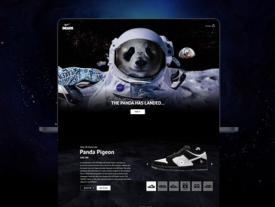 Panda Pigeo Nike SB design e commerce ui ux web design