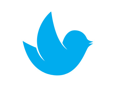 Twitter bird logo twitter