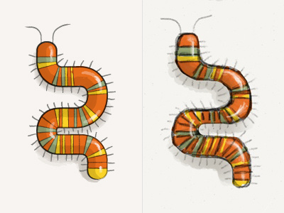 From Paper53 to Illustrator bug colorful illustrator paper53 raster sketch