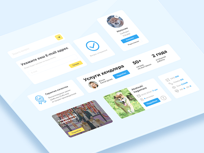 UI kit animal card concept dog doge graphic design kit mockup ui ui kit web web design website