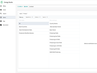 Query attribute selection