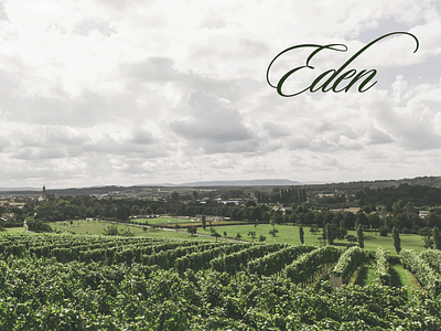 Eden Winery Branding