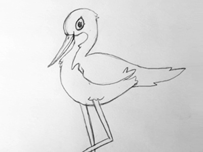 Black Necked Stilt WIP bird illustrator sketch vector illustration