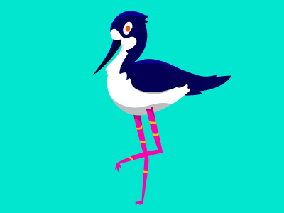 Black necked stilt illustration bird character illustration illustrator vector