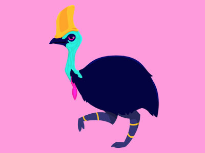 Cassowary animals birds cassowary character character design illustrator vector illustration