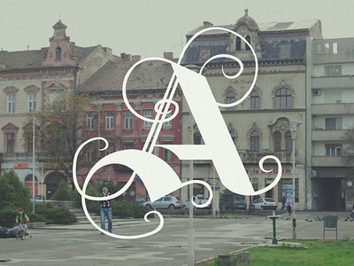 36 Days of Type - A 36 days 36 days of type arad calligraphy city letter letter a lettering romania type typography