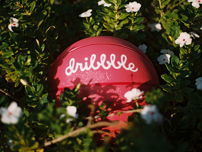 Dribbble Ball Nature ball basket ball dribbble flowers invite logo nature pink series