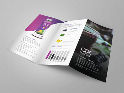 Trifold Brochure Inside brochure drink fitness health product sports trifold