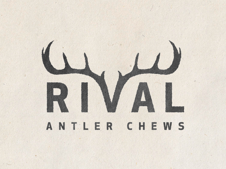 logo rival