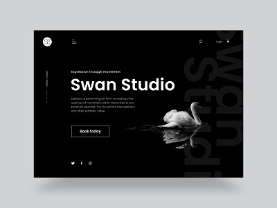 Swan dance studio landing page 3d animation app branding design graphic design illustration logo motion graphics typography ui ux vector