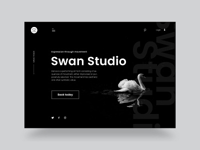 Swan dance studio landing page