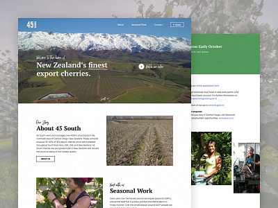 45 South blanche cherries daily daily design design fruit growing new zealand nick blanche orchard quality ui ux