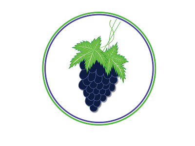 Grape vector illustration