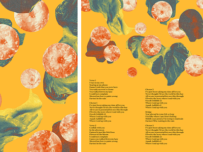 Lyric Sheet band collage da vinci flowers honeyboys label lyrics merch msuic paint sun vinyl