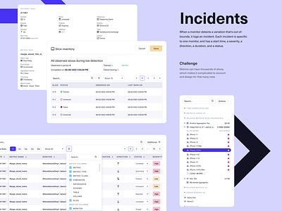 Data Quality Incidents