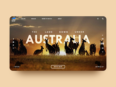 Wildlife Website Landing Page app design graphic design illustrations ui design ux design web design website wildlife