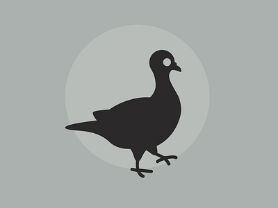 Pigeon bird illustrator logo mark pigeon
