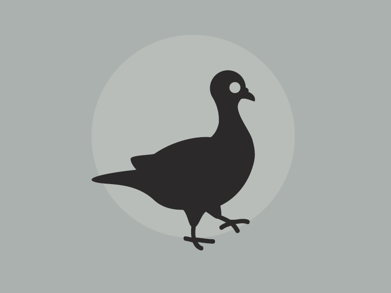 Pigeon mark illustrator logo bird pigeon