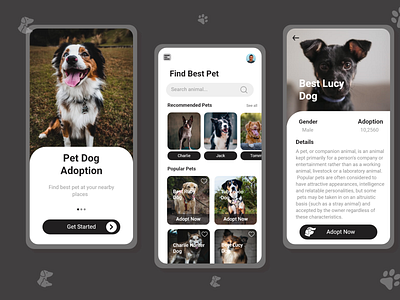 Pet Adoption App Shots branding graphic design logo ui