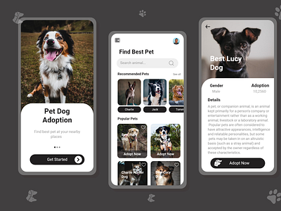 Pet Adoption App Shots