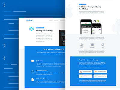 React Consulting app applications design flat landing react redesign ui ux web web development website